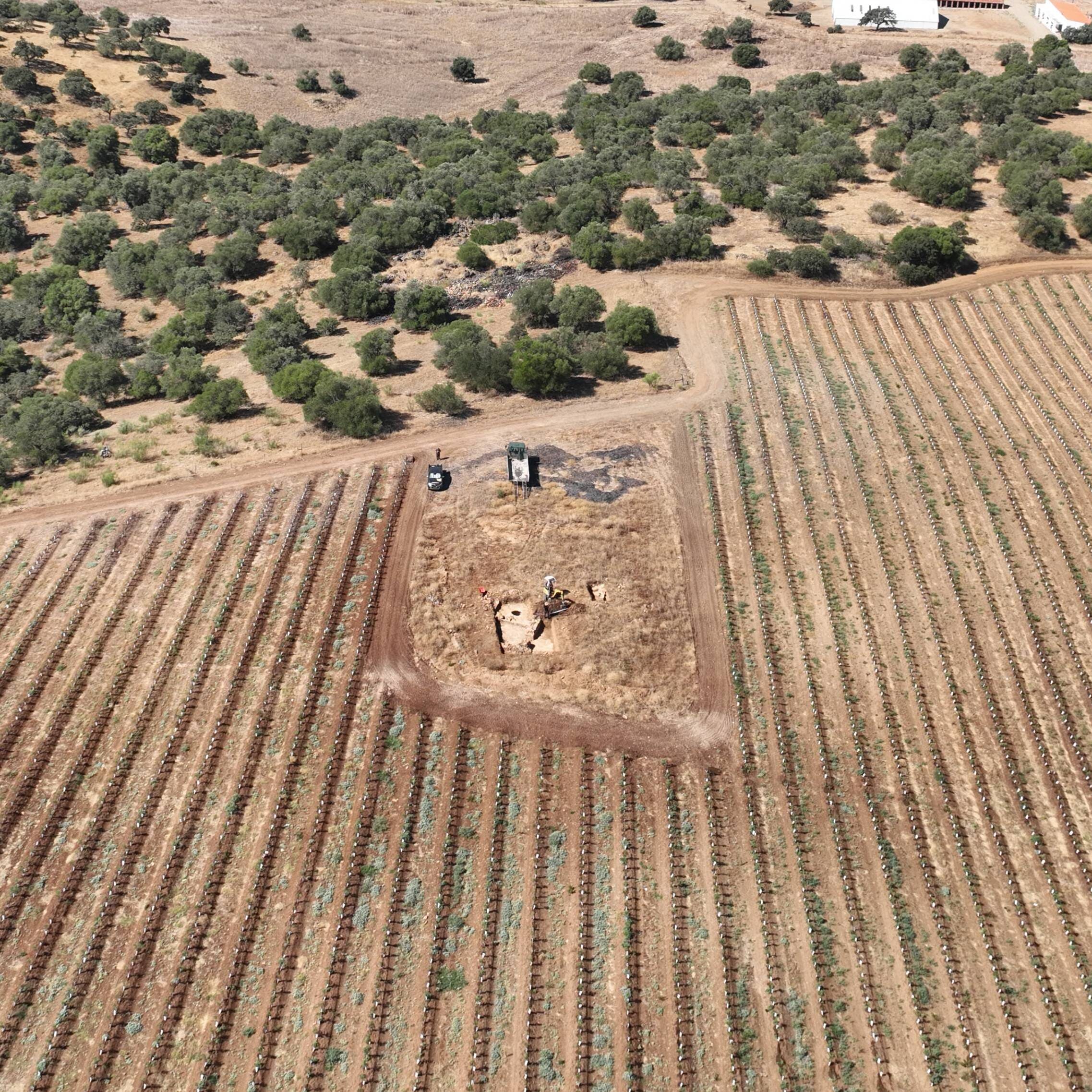 Escavação arqueológica em ambiente rural, com foco no levantamento de estruturas e o impacto no terreno agrícola.