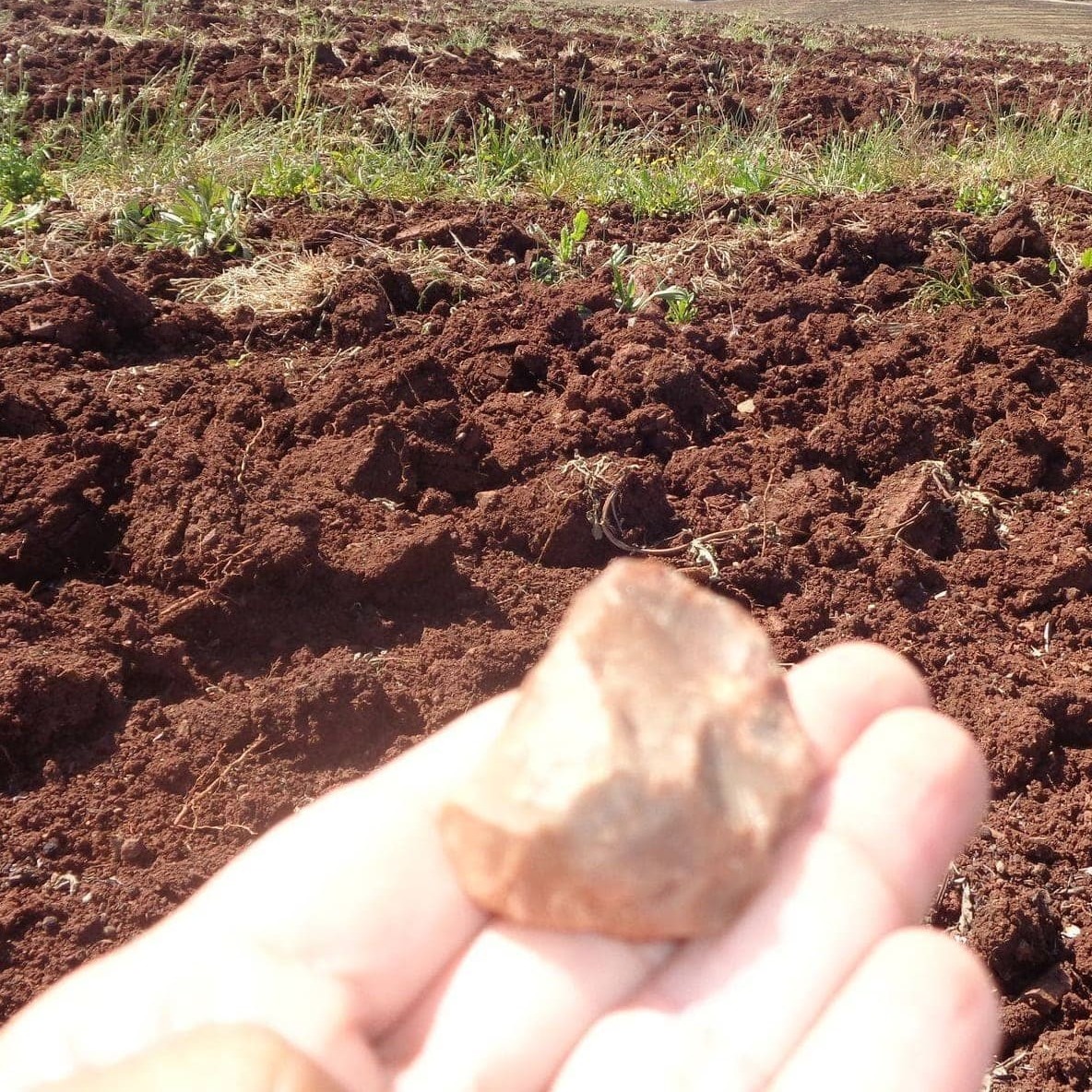 Local de prospeção em campo com artefactos dispersos marcados e documentados numa paisagem rural.